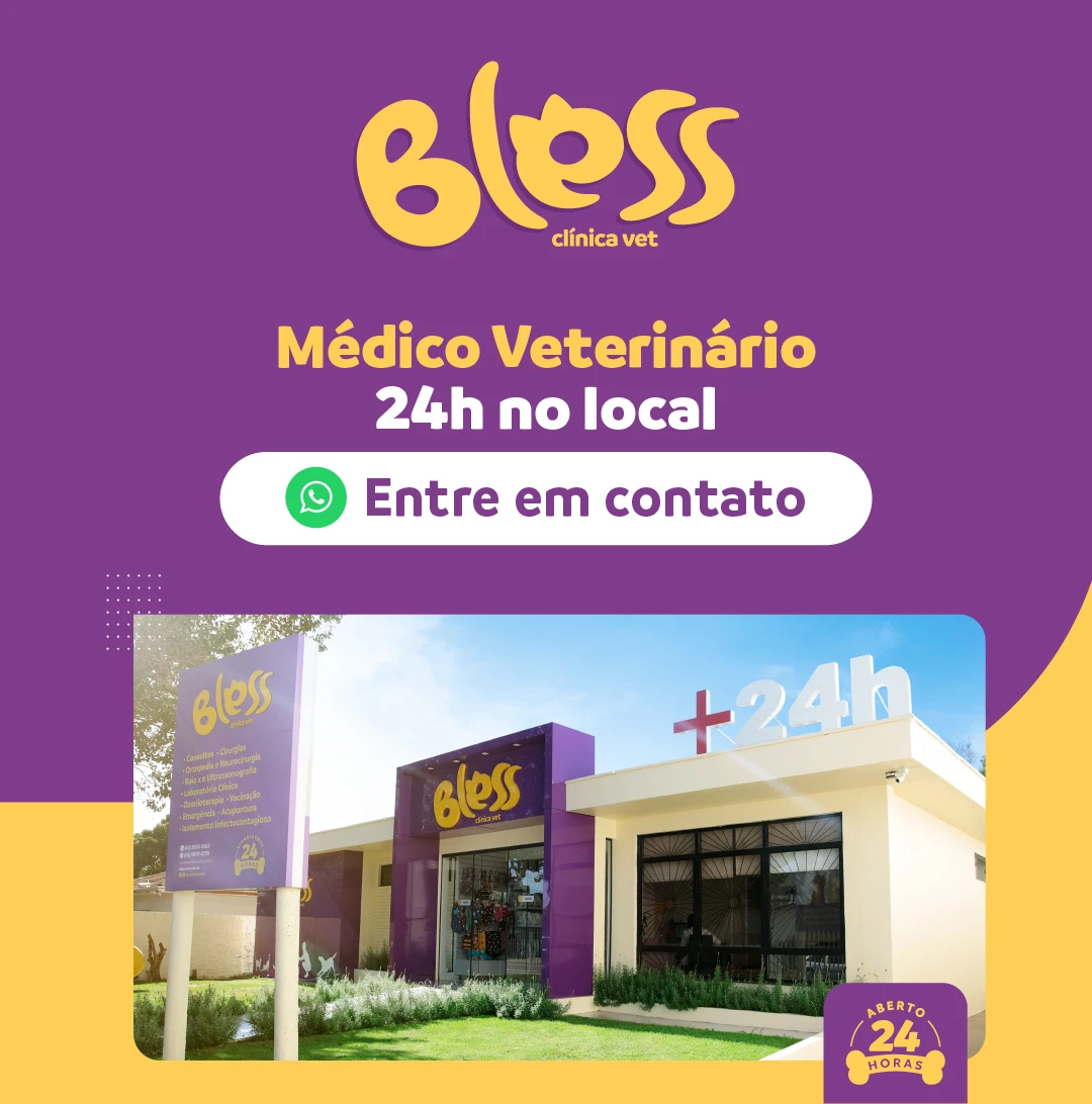 Bless clinica veterinária 24 horas